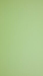 GMA 1305 S – Mint Green