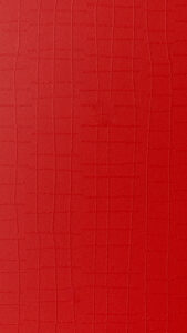 VT 0572 E3 – RED E3