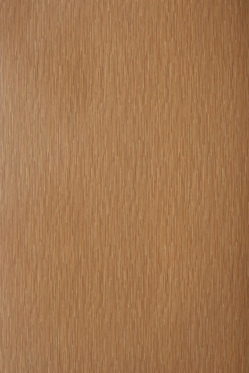Sk 10311 S Golden Bamboo