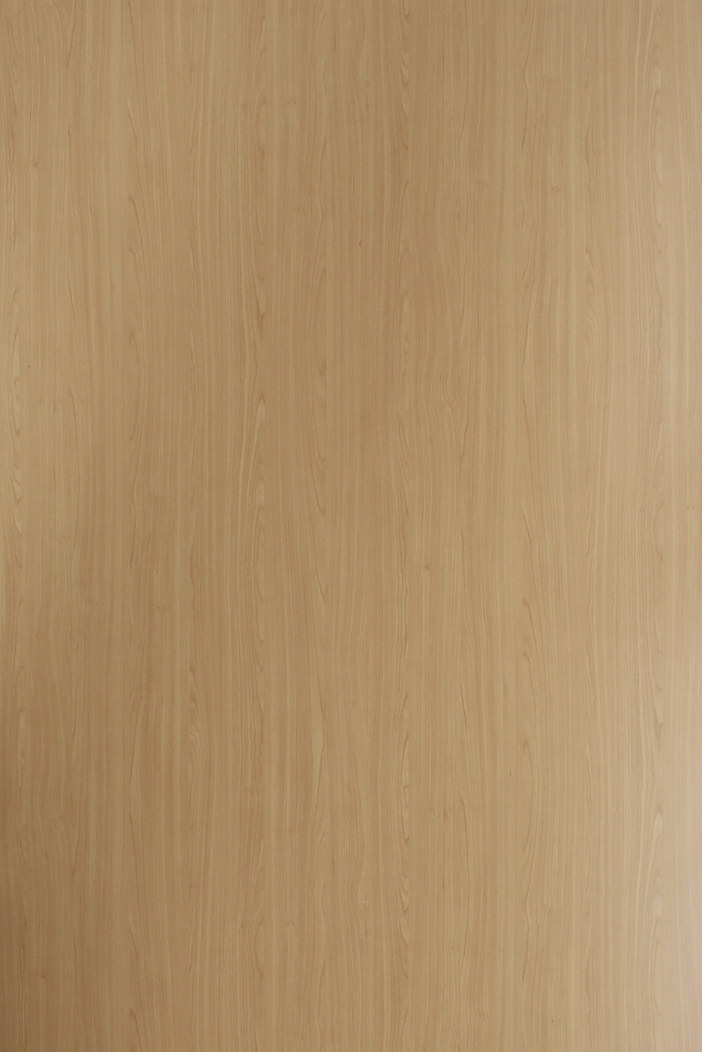Sk 10433 S Totila Maple