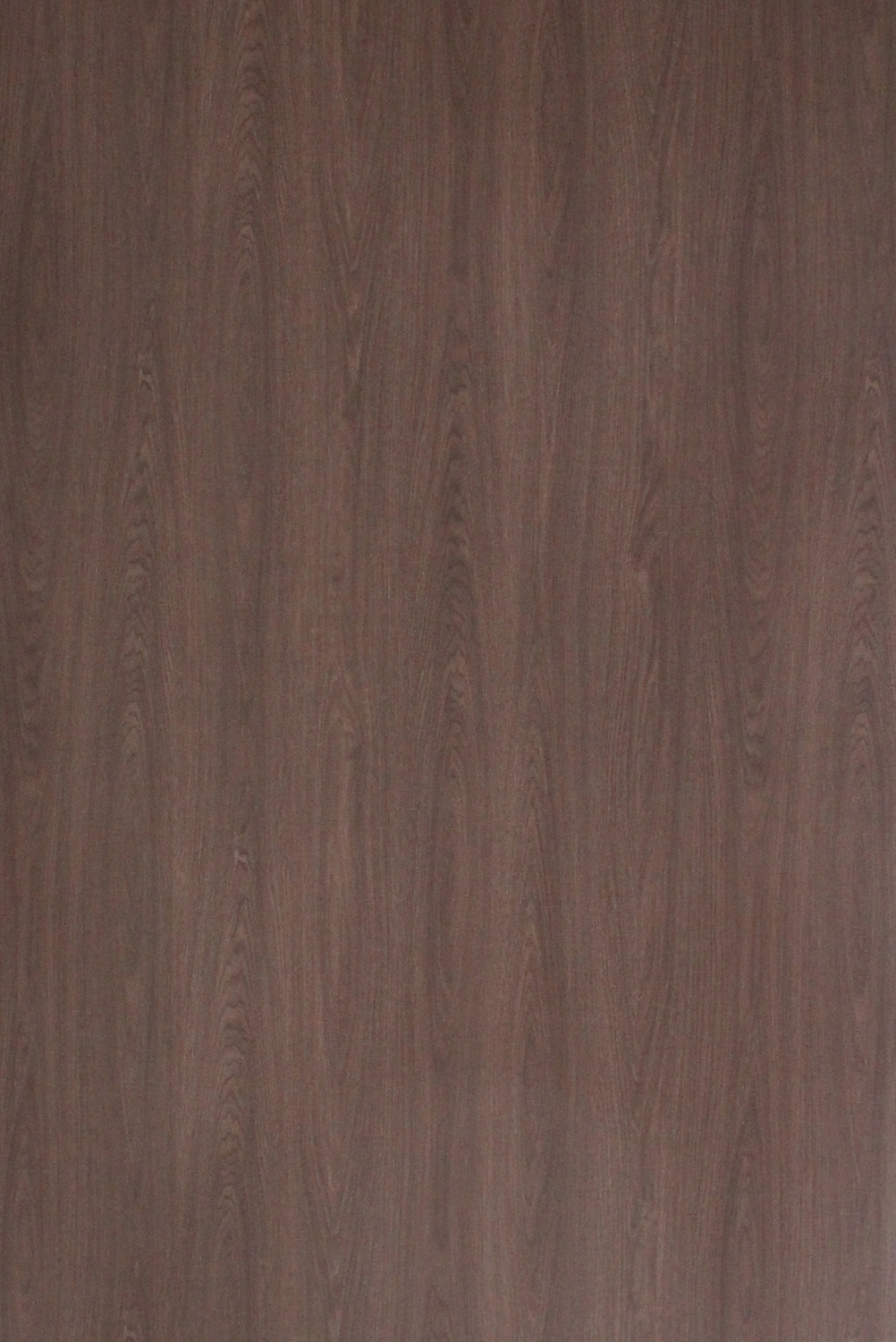 Sk 10474 S Cocoa Crust Oak