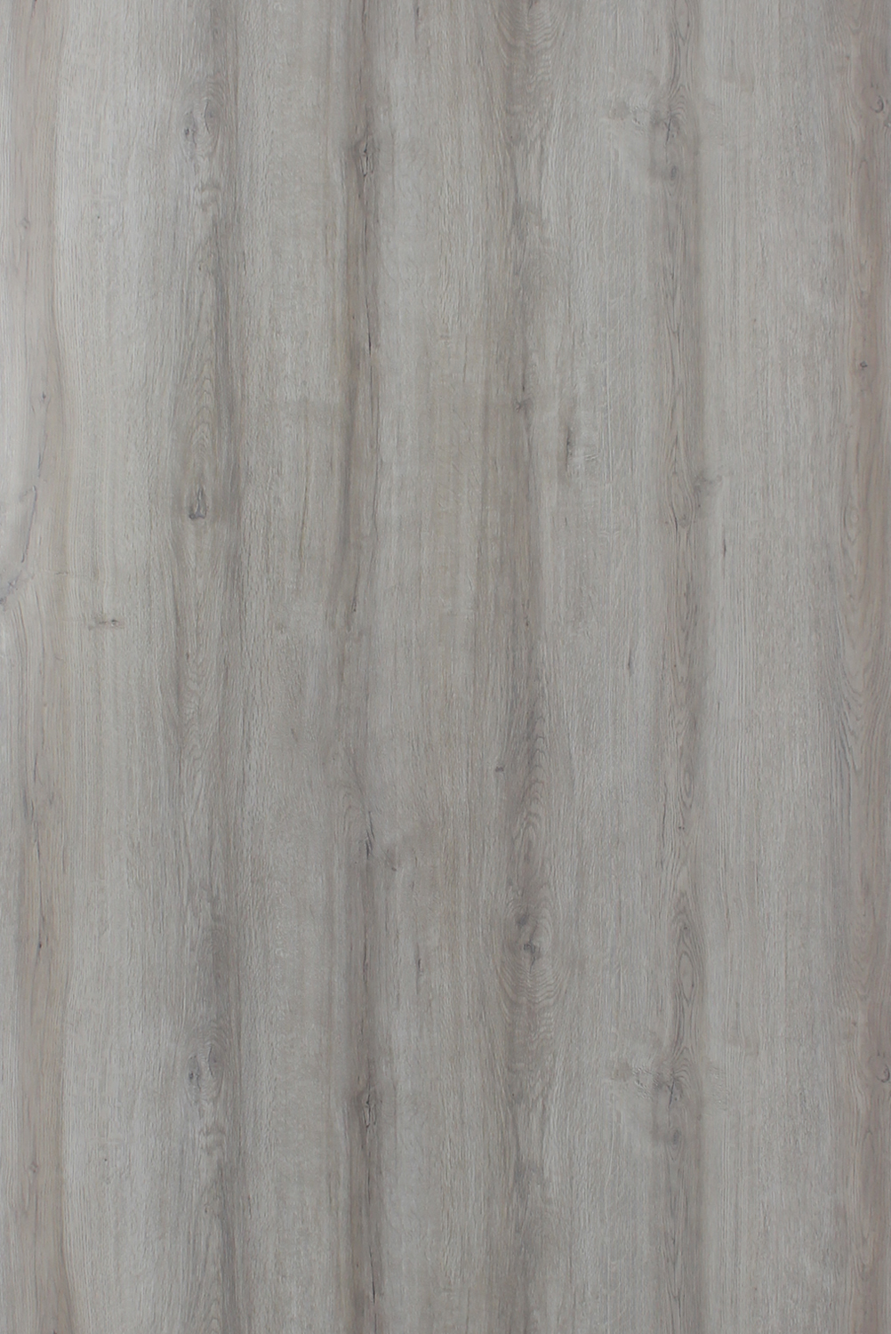 Sk 10479 Uw Cornhusk Oak