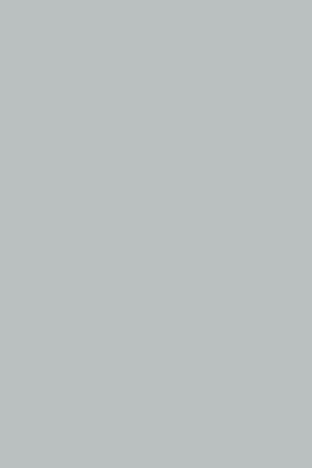 Sk 1089 S Ash Grey