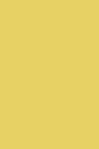 SK 1457 G – Sunny Yellow