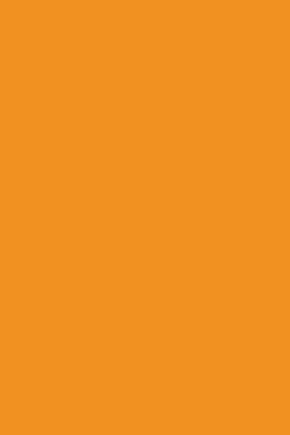 Sk 1467 S Orange Glow