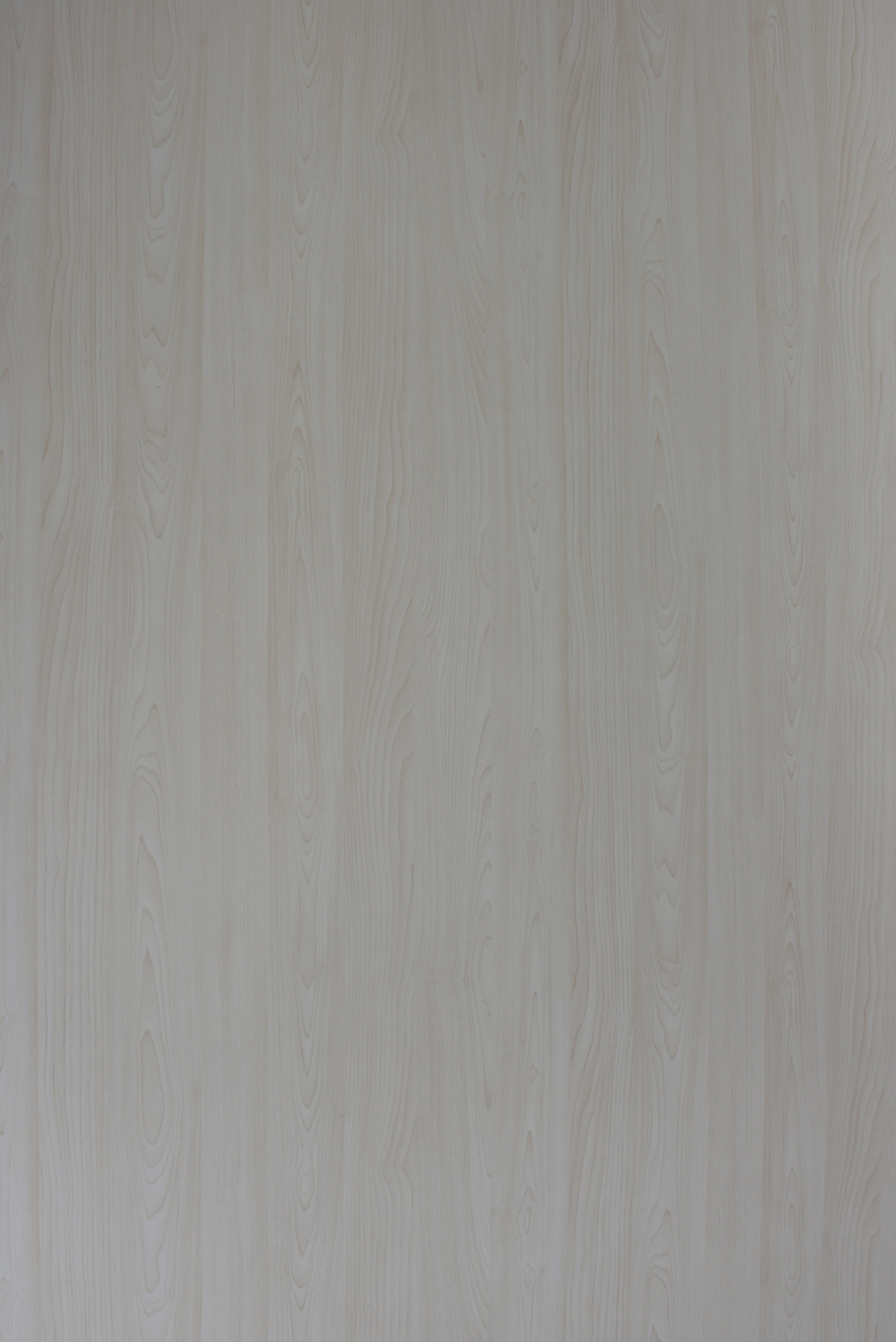Sk 22002 S Creamy Maple