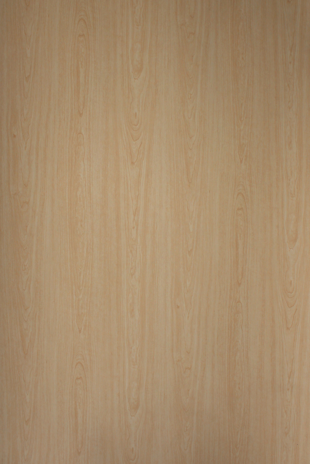 Sk 22052 S Natural Maple
