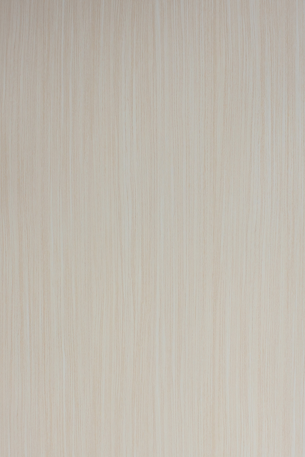 Sk 22103 S Colonial Beech