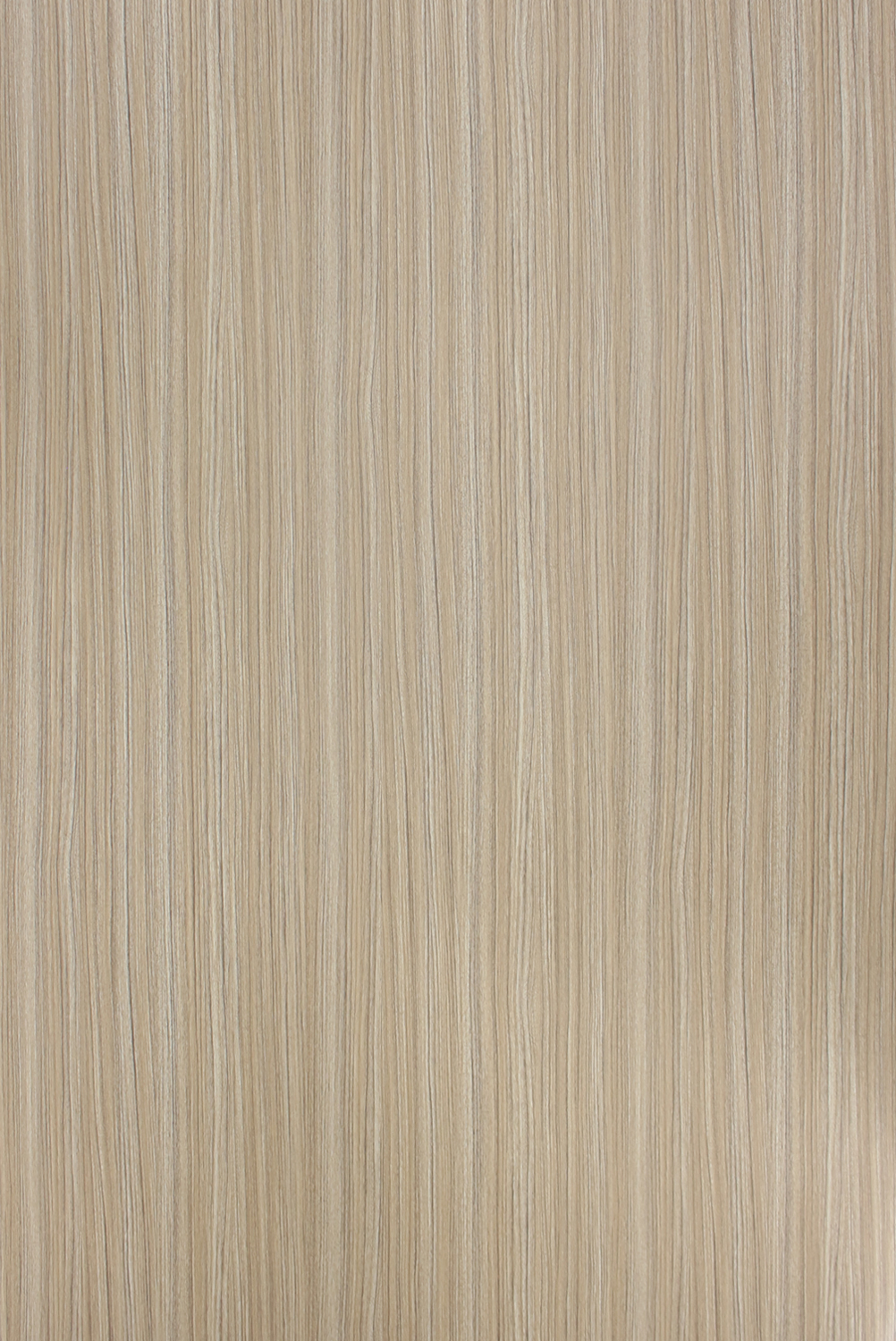 Sk 22105 S Golden Bark