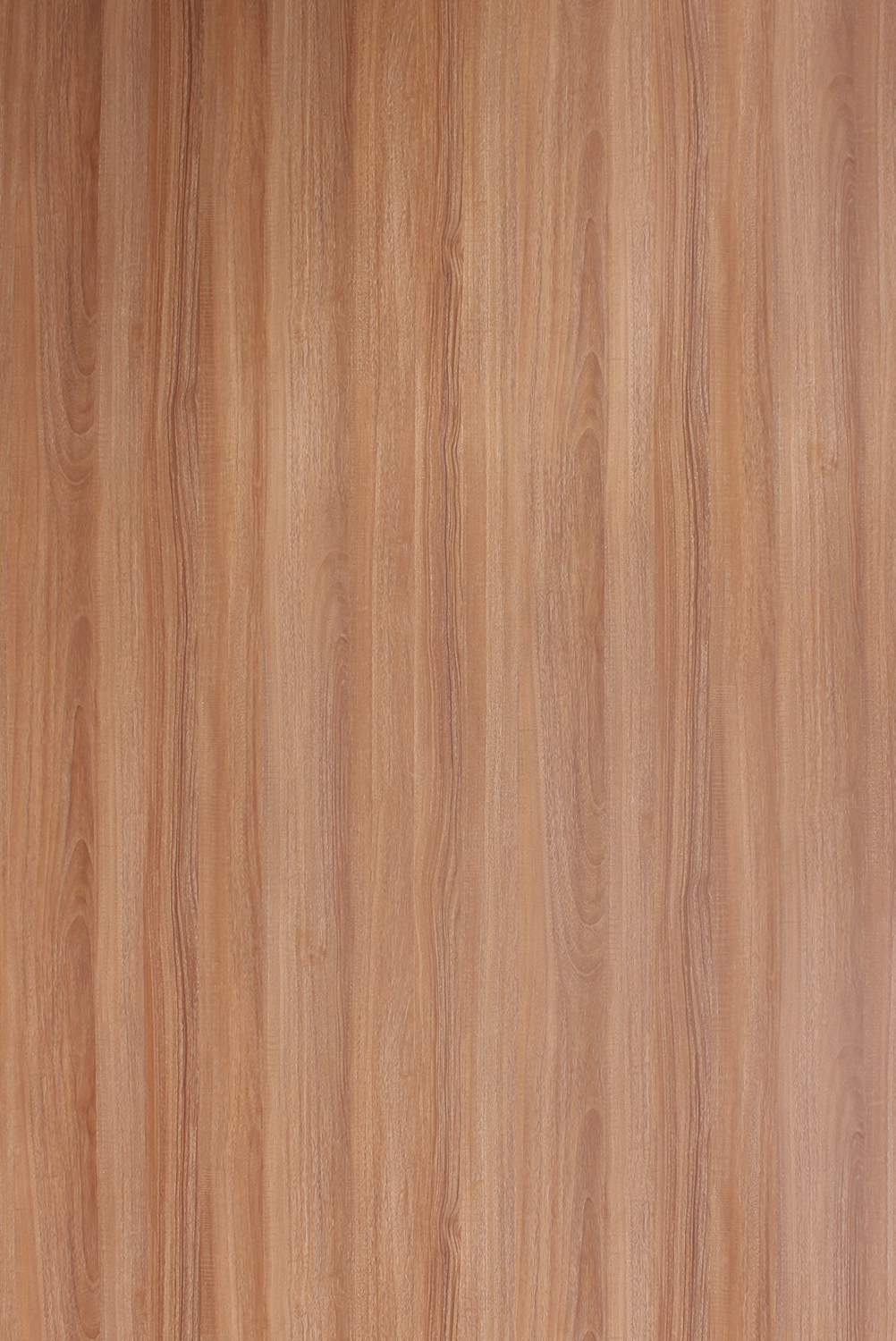 Sk 22195 S Buk Veneer Light