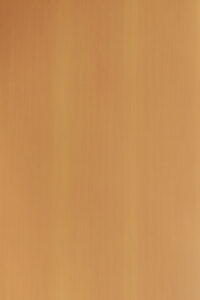 SK 24551 s – Borneo Maple