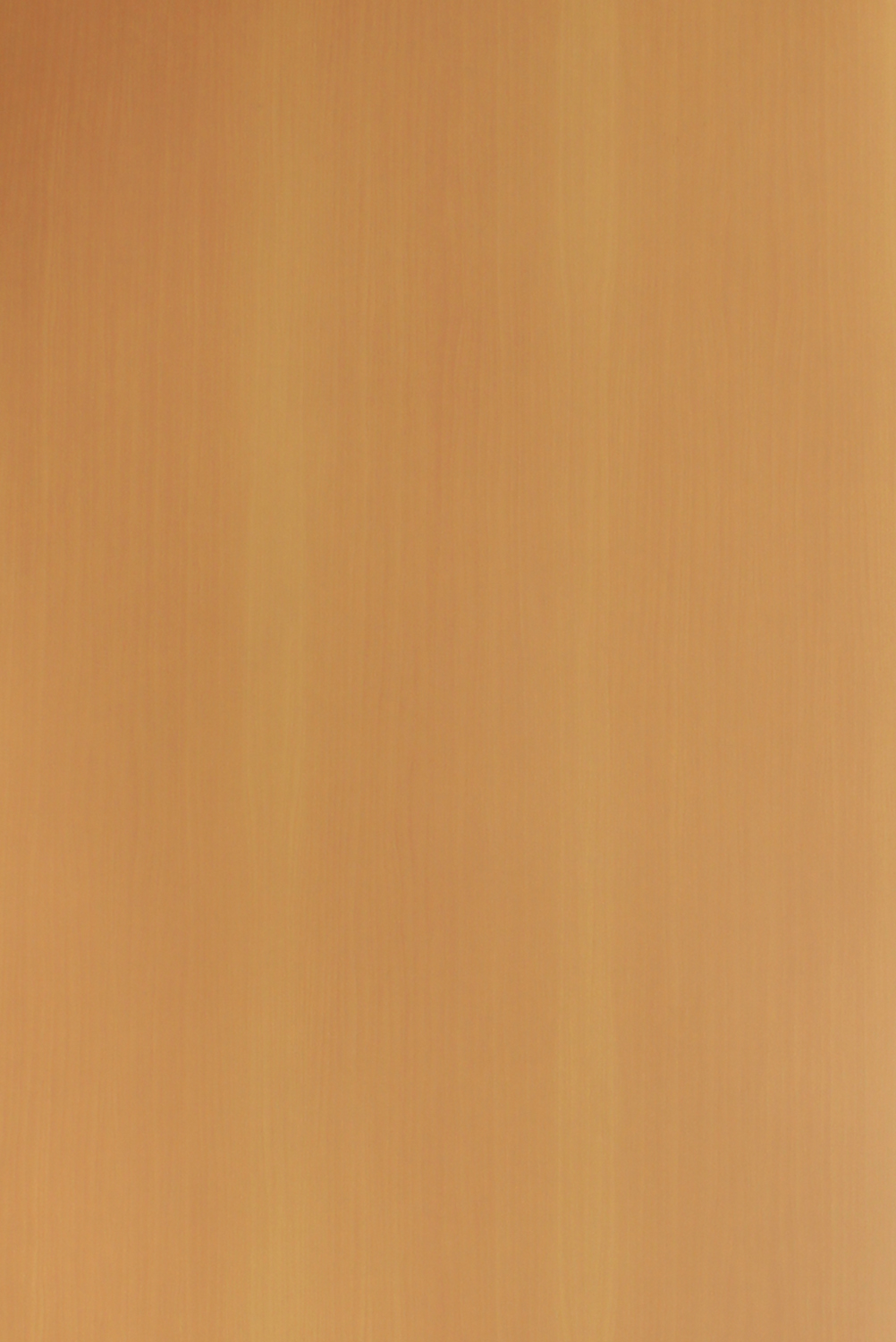 Sk 24551 S Borneo Maple