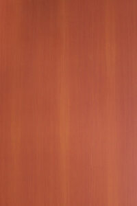 SK 24554 S – California Maple