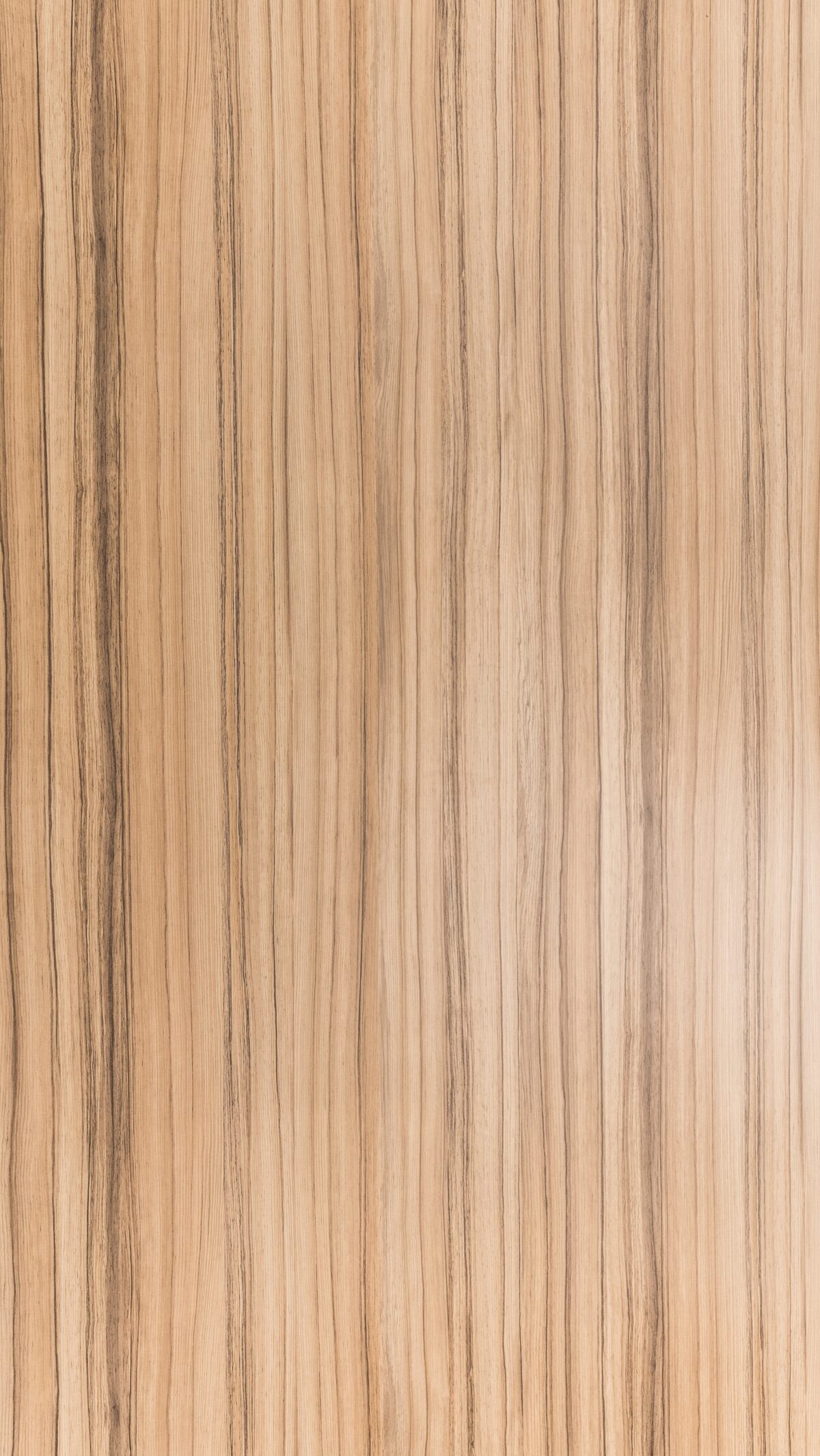 Vd 0391 S Cocowood