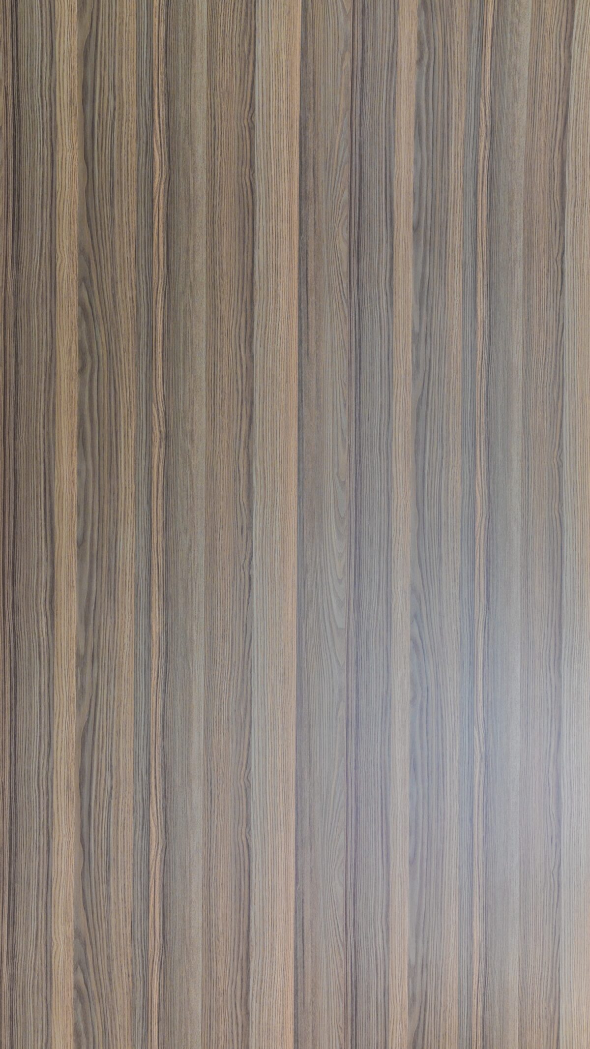 Vd 0779 S Earth Cedar (1)