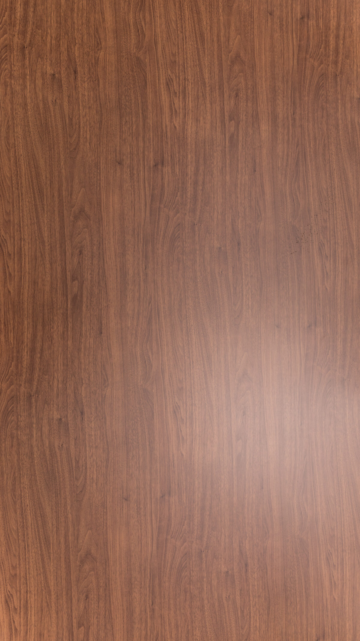 Vs 0001 S Lila Walnut (1)