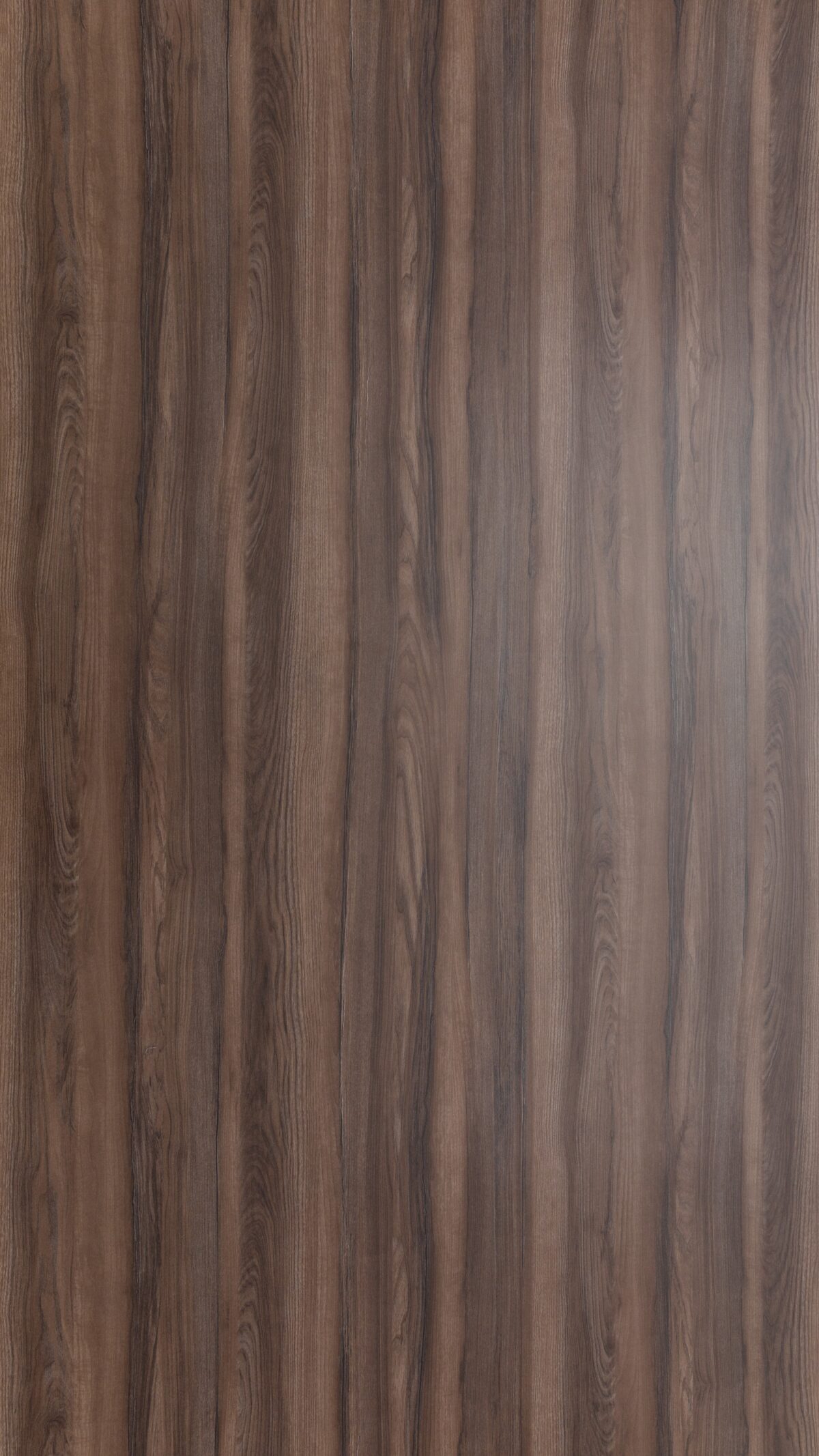 Vs 10454 S Earthy Elm (2)