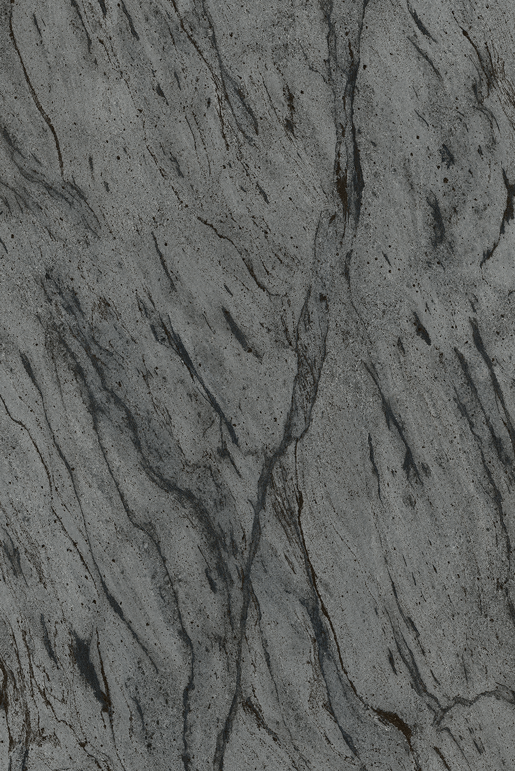 Gmm 1484 Fl Jaipur Lavant (1)