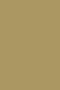 GMM 8304 FL – FRENCH GREEN